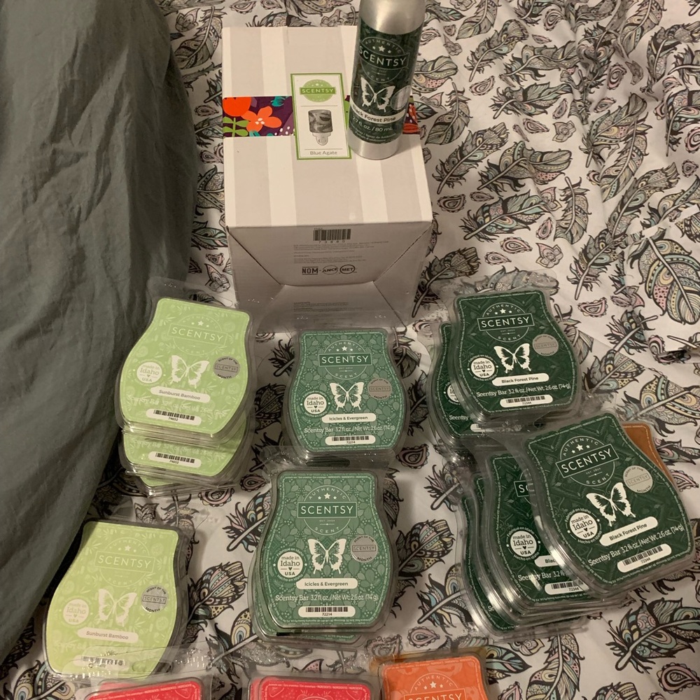 Lot of Scentsy goodies!